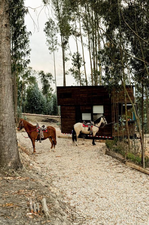 El Bosque De Paipa Hotel Exterior photo