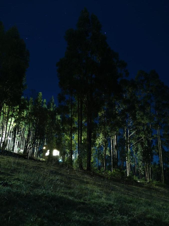 El Bosque De Paipa Hotel Exterior photo